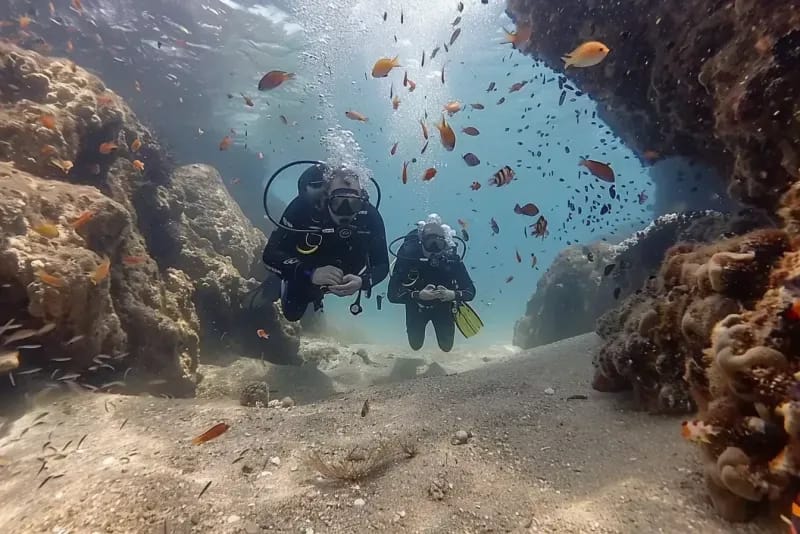 Discover Scuba Diving Experience