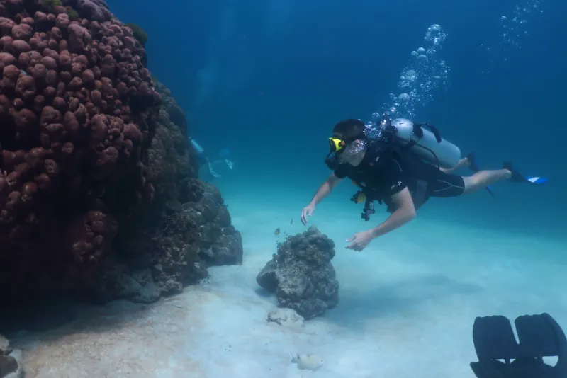 Bungalow Bay Diving Site in Racha Yai